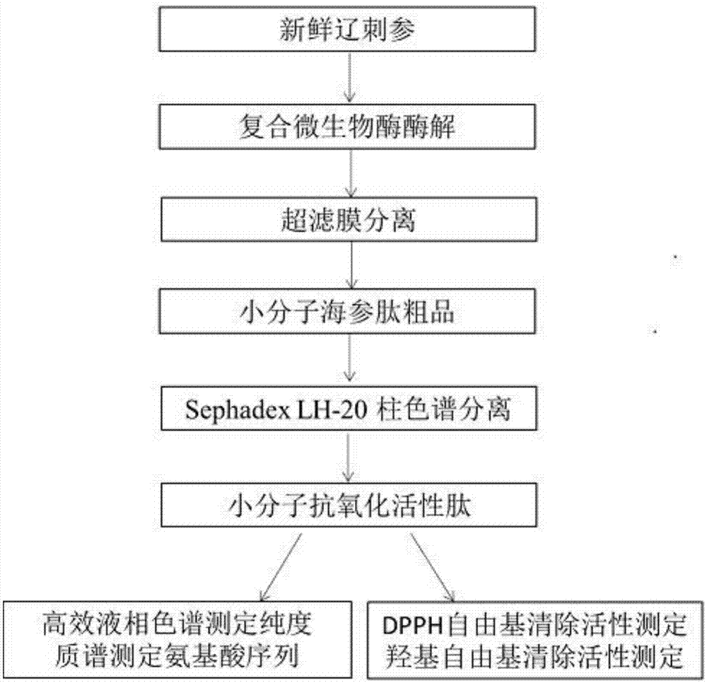 澳门太阳网城官网