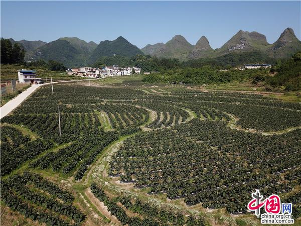 澳门太阳网城官网